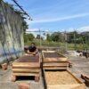 Venezuela-Finca Berlin (Anaerobic Honey) - Image 2